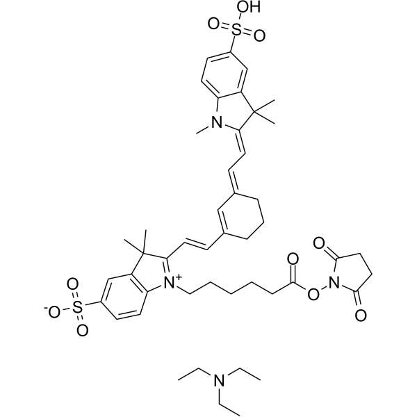 Sulfo-Cyanine7 NHS ester TEA